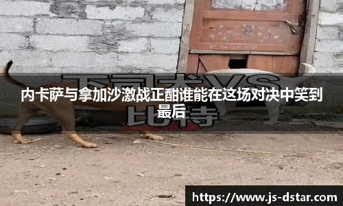 好博体育登陆人口